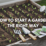 how to start a garden the right way a beginners blue print